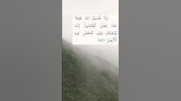 سورة ابراهيم - الآية 42 #الله #ayat #allah #qran #آية #القرآن #قرآن #بدر_المشاري #aya #alquran