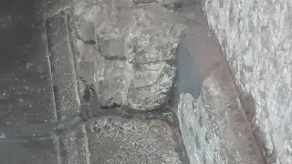 Shree Karvir Nivasini Ambabai/ Mahalaxmi, Kolhapur