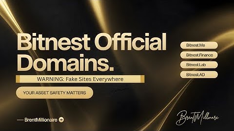 BitNest Official Domains • Protect Your Assets • Global Access Guide 2025