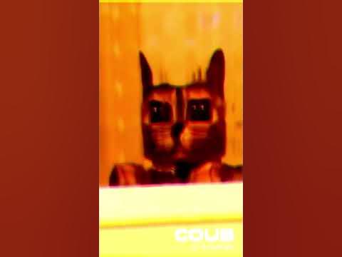 квадратный кот - YouTube