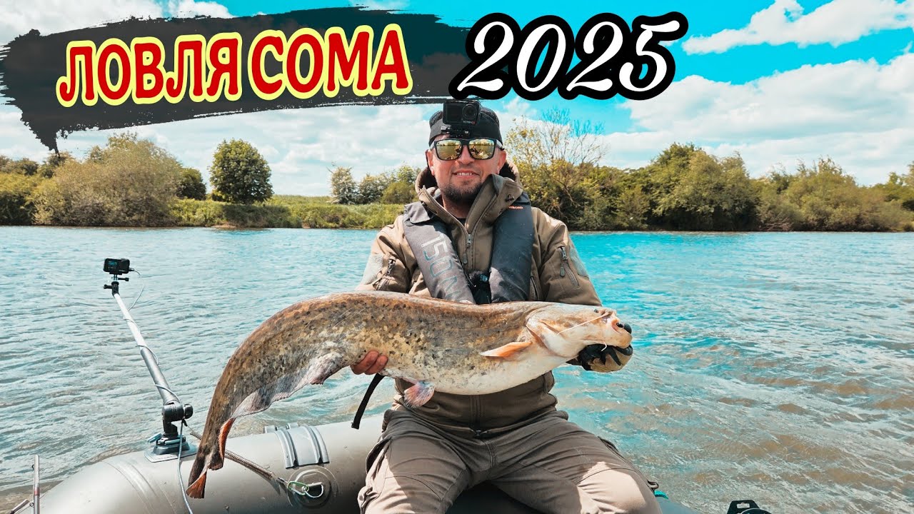 Рыбалка на сома 2025, ловим сома на квок