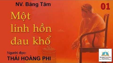 MỘT LINH HỒN ĐAU KHỔ. Tập 01. Tác giả: NV. Băng Tâm. Người đọc: Thái Hoàng Phi