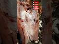 🔥😋 Unbelievable Knife Skills! Fastest Katla Fish Cutting Skills 😱 #shorts​
