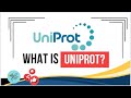 UniProt and Protein Databases Quiz