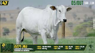 LOTE 47   JBJ 2271