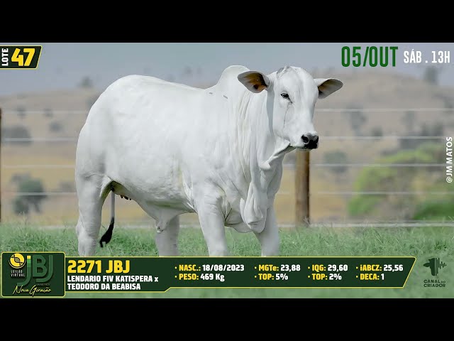 LOTE 47   JBJ 2271