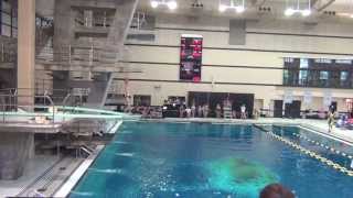 Kyle Goodwin Diving