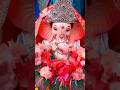 Ganpati Visarjan || गणपती बाप्पा मोरया पुढल्या वर्षी लवकर या #shortsvideo #ganpatibappamorya #shorts