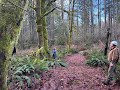 A Forest Of Your Own: The Pacific Northwest Handbook Of Ecological Forestry