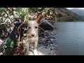 Valley Trip Enchanting Nature Delicious Tagine and Beautiful Roadside Surprises mp3