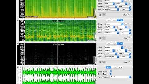 Visualize "Behind the mask" using Sonic Visualizer