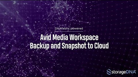 Avid Media Workspace Backup and Snapshot to Cloud - DNAfabric | StorageDNA