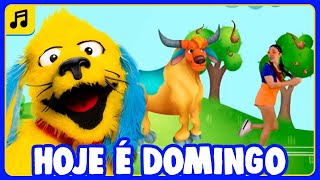 Hoje É Domingo, Pé De Cachimbo Música Infantil - Hora Do Mostarda