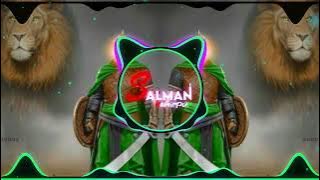 A Deen Ke Gaddar Bulau Kya Ali Ko| 2023 Letest Muharram Qawwali Dj Remix| EDM Mix| By Salman