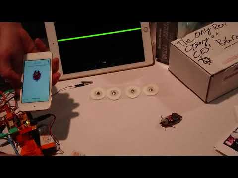 CES 2018 Backyard Brains - Modified real cockroach controlling with a smartphone by randomlifts