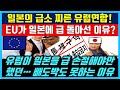 일본이 EU에 카운터펀치 맞고 뒷목잡는 현재상황ㅣ 입국금지 그렇게 좋아하더니 결국 일본반응ㅣ 노베신문