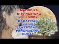MALIGO KA NITO NGAYONG FULLMOON AT KAKAPITAN KA NG SWERTENG PANG HABANG BUHAY-APPLE PAGUIO1
