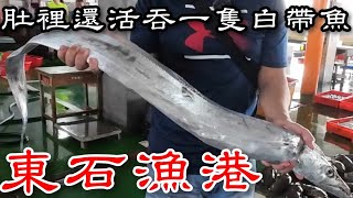 嘉義東石漁港丨巨大白帶魚活吞另一隻白帶嘴裡竟然還有四個鉤子丨殺魚阿桑說這魚懂得人才知道好吃丨Cheap Seafood Auction in Chiayi Dongshi Fishing Port