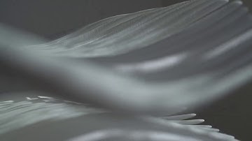 Testing of a new cyberflora creature by artist Julia NIzamutdinova.  June 2019.