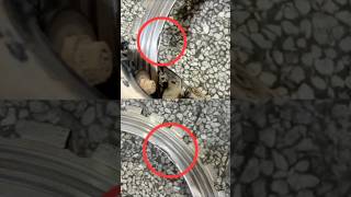 Ring Saw Machine Blade Damage - Blade open problem