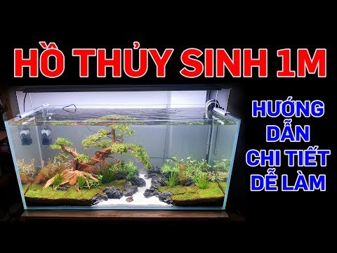 Video: Phương Pháp Trang Trí Bể Cá