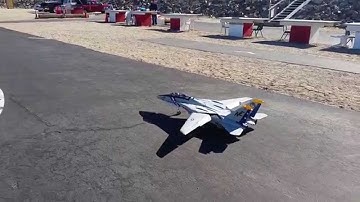 Freewing F-14 Tomcat Pt. 1