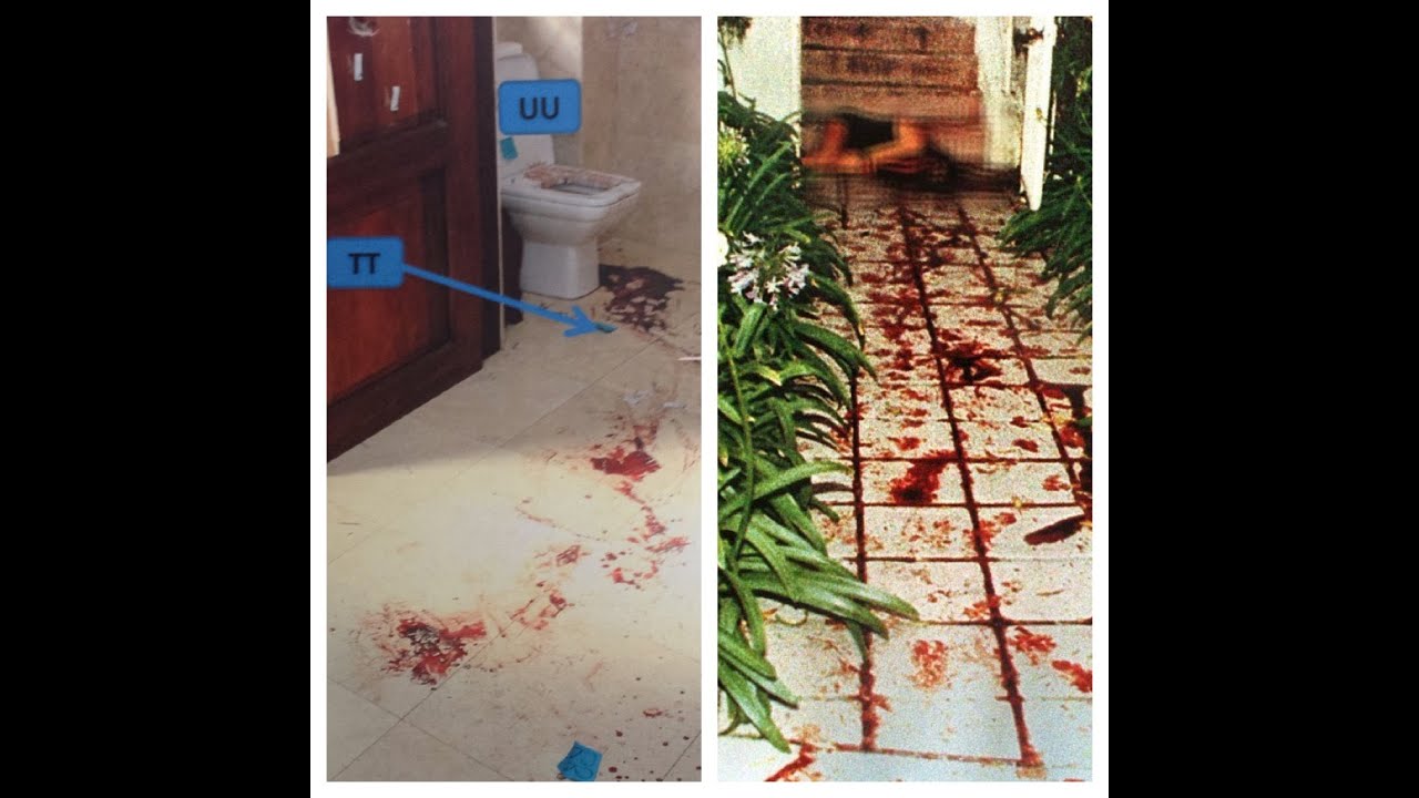 Reeva photos steenkamp scene crime Reeva photos steenkamp scene crime
