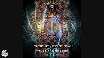 Sonic Entity - Trust the Process