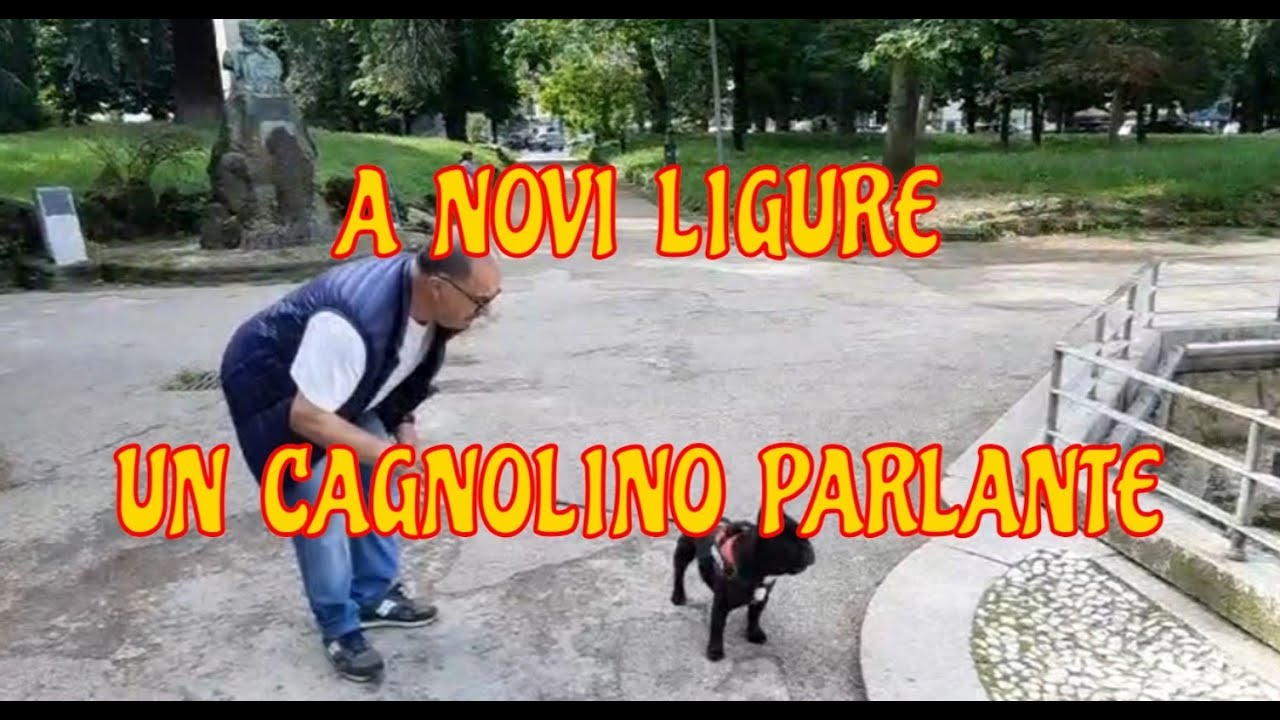 A NOVI LIGURE UN CAGNOLINO PARLANTE