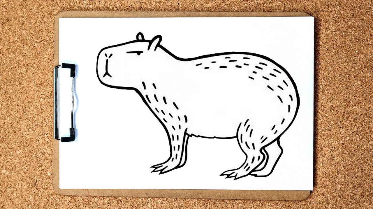 como desenhar uma capivara de corpo inteiro 