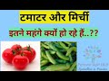 Tomato and chilli prices//Agriculture//Rising prices//Vegetables//High prices