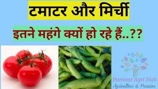 Tomato and chilli prices//Agriculture//Rising prices//Vegetables//High prices