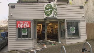 Seattle pot shop hit by crash-and-grab burglary with car used to ram into entrance