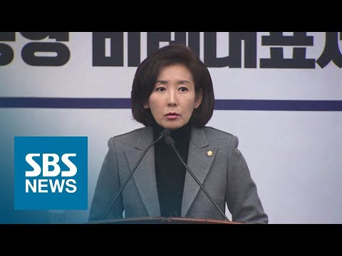 &amp;quot;총선 전 <strong>북미회담</strong> 자제 요청했다&amp;quot; 나경원 발언 논란 / SBS