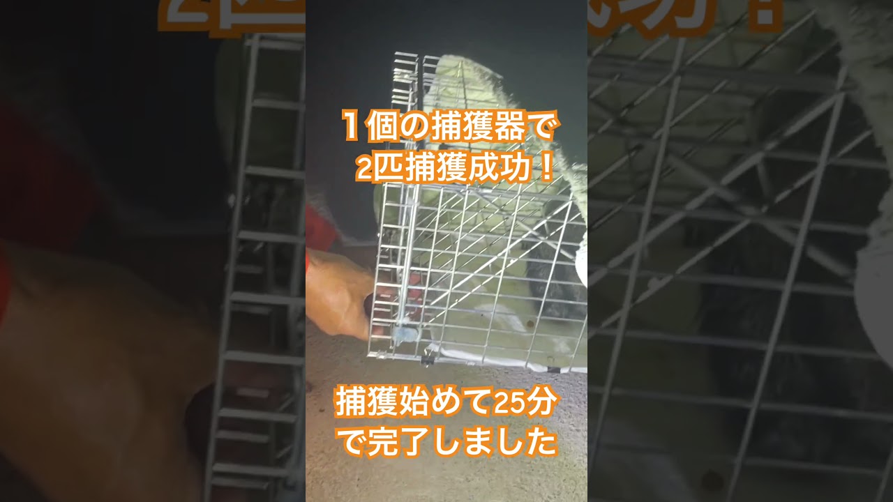 2025年6月26日