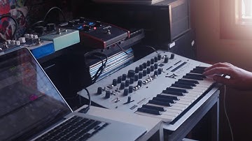 "BWCBWC" Minilogue with Moogerfooger MF-102, Cooper FX Generation Loss and Strymon Pedals