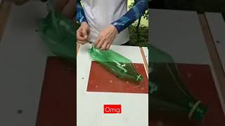 روش خلاقانه چیدن میوه درخت #diy_idea #باغبانی #ترفندهای_جالب