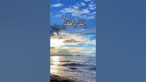 قرآن كريم 💚 تلاوة في قمة الروعة والجمال 🦋🌺❤️❤️