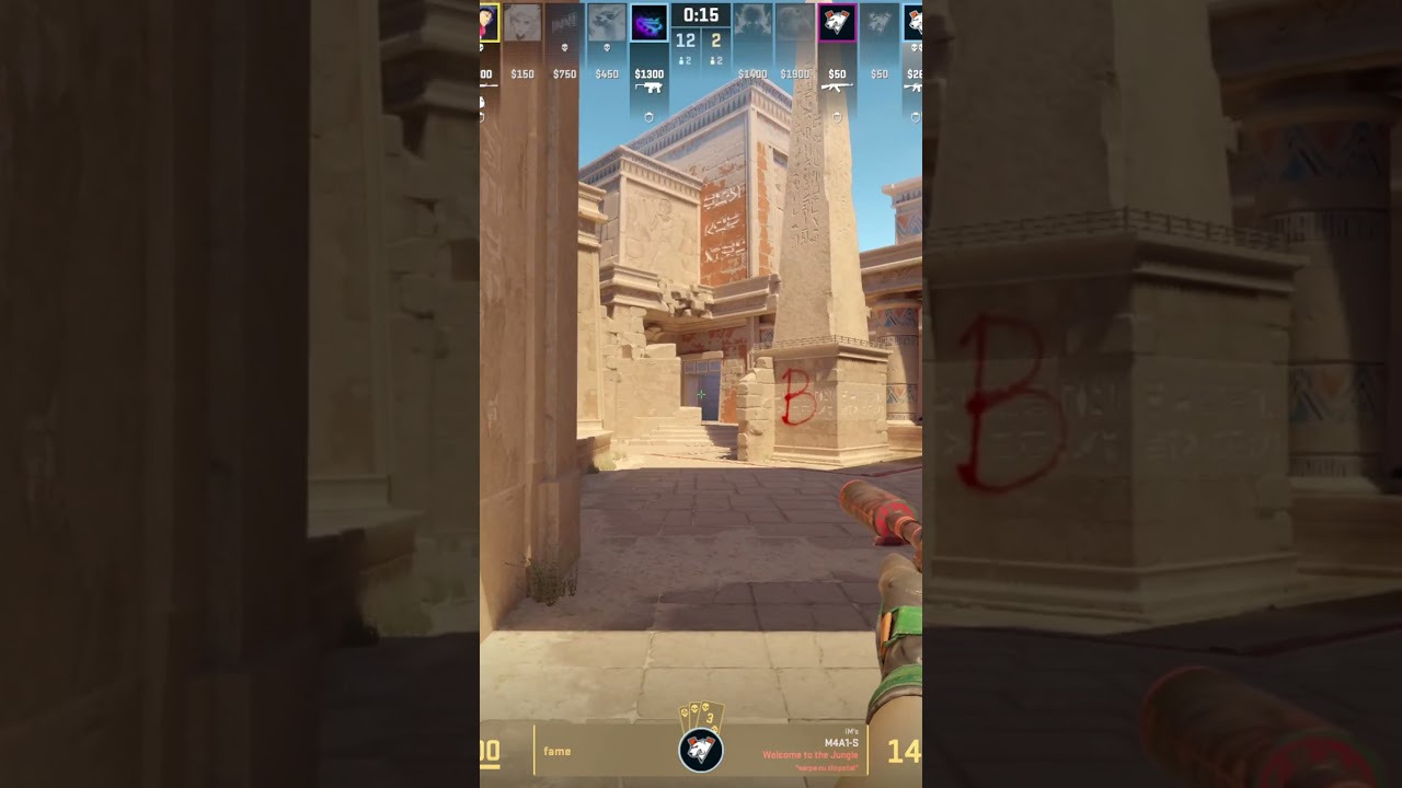 fame Virtus.pro VS Natus Vincere ACE Highlight POV | 2024/06/16 