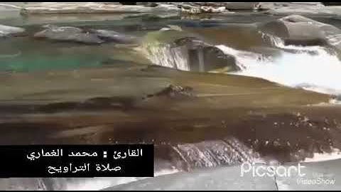 القارئ : محمد الغماري