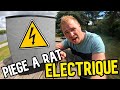 Découverte : Piège à rat électrique ⚡ (jusqu'à 20 rats)