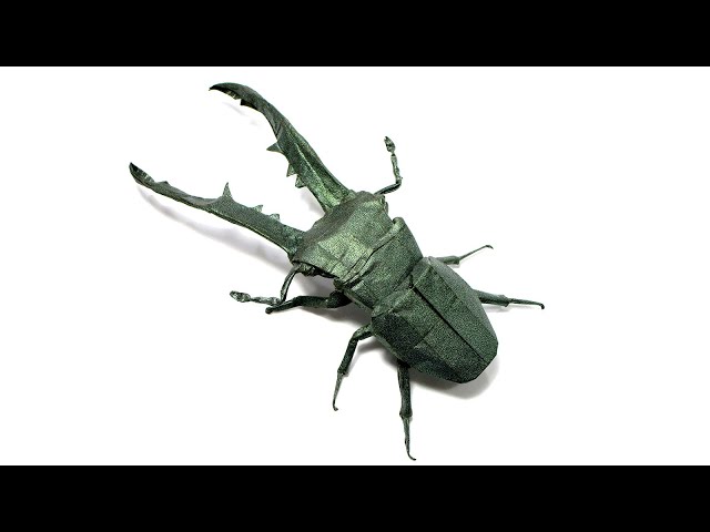 Origami Cyclommatus Metallifer time lapse (Satoshi Kamiya