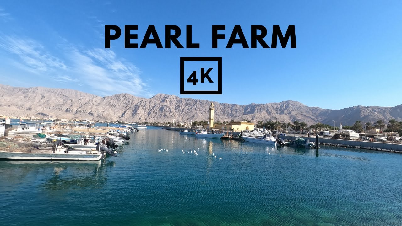 Afternoon Walk at the Pearl Farm & Fishing Harbour 4K - AL RAMS - RAK # ...