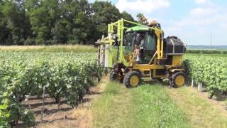 Collard Vineyard Equipment | Vine Trimmers, Leaf Removers & Pre-Pruners