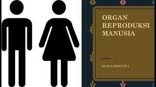 organ reproduksi manusia kelas 9 semester 1