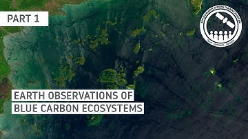 NASA ARSET: Overview of Blue Carbon Ecosystems & Mapping Mangrove Ecosystems, Part 1/2