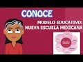 🏫🎒Nueva escuela mexicana: Modelo Educativo de AMLO 2019 (reforma 4t)