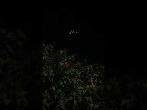 حبيبي علي االدنيا اذا غبت 