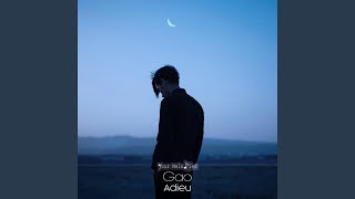 Adieu (Radio Edit)