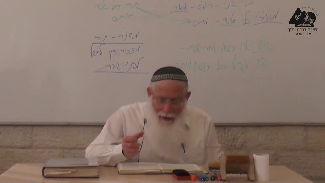 ציד חיה מבויתת לגמרי | הרב אליקים לבנון | מלאכת צד | הלכות שבת | 4